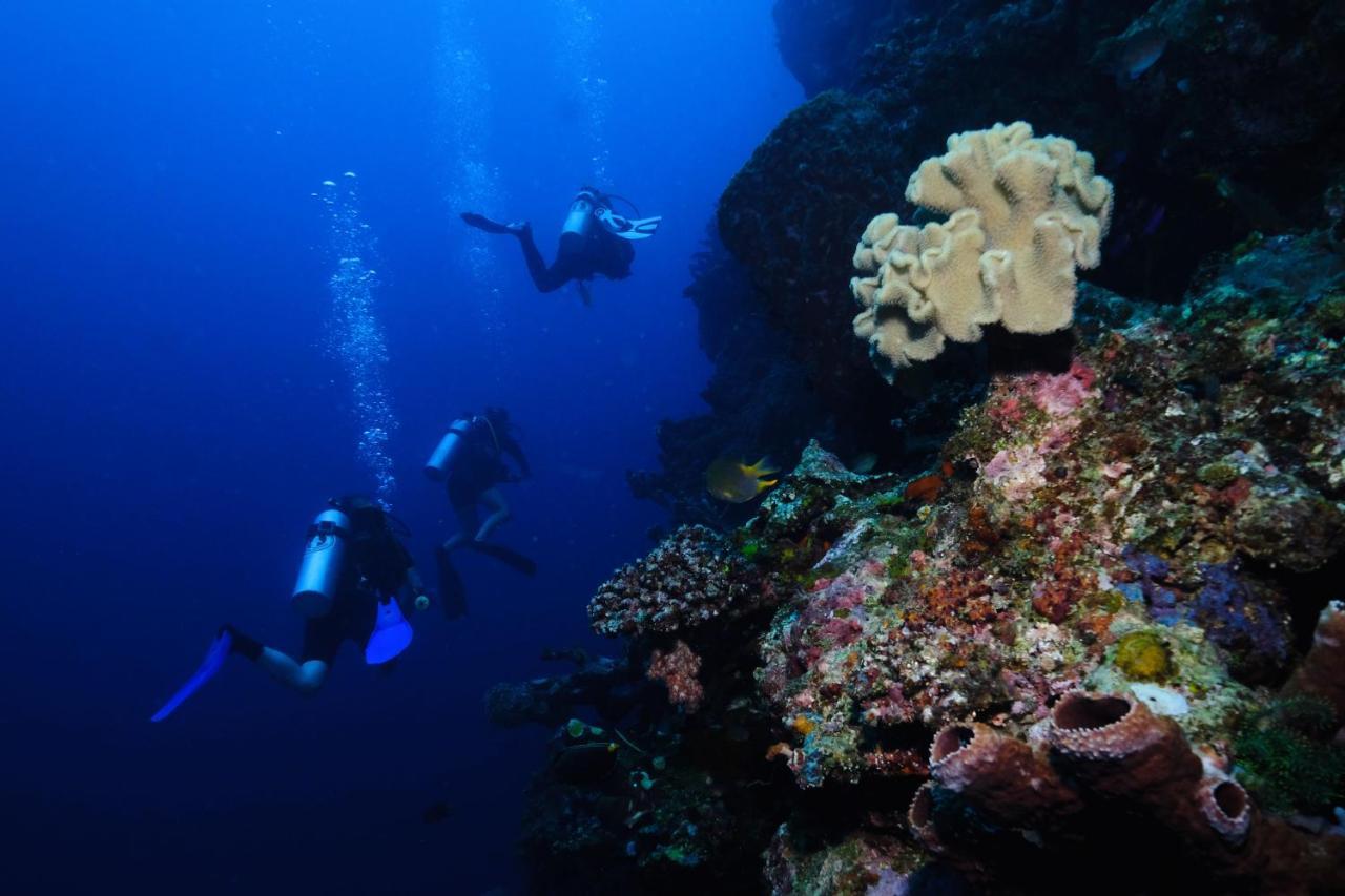 Sanctum Una Una Eco Dive Resort Pulau Unauna 외부 사진