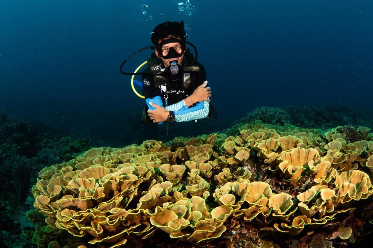 Sanctum Una Una Eco Dive Resort Pulau Unauna 외부 사진