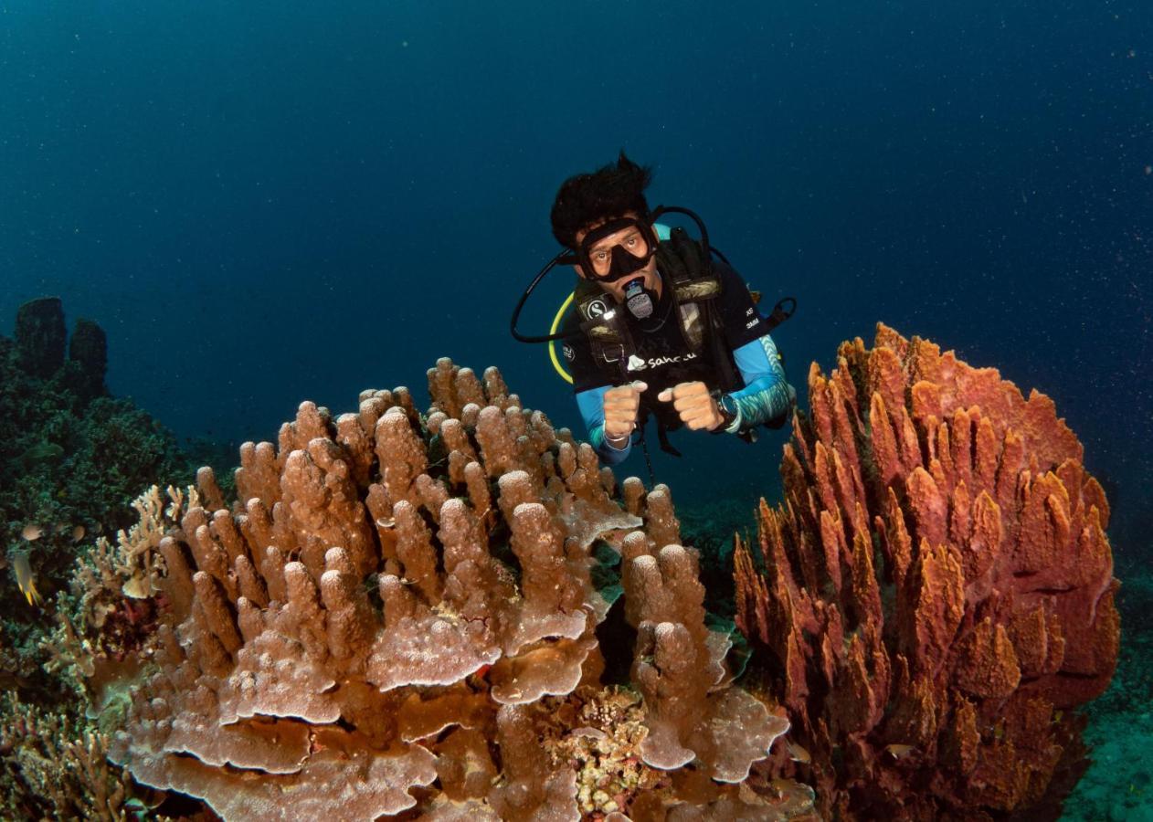 Sanctum Una Una Eco Dive Resort Pulau Unauna 외부 사진
