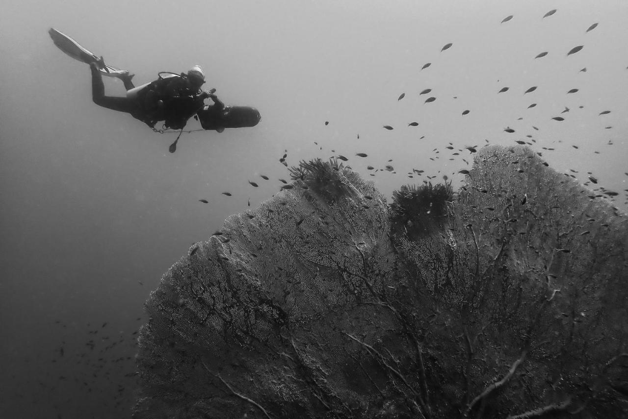 Sanctum Una Una Eco Dive Resort Pulau Unauna 외부 사진