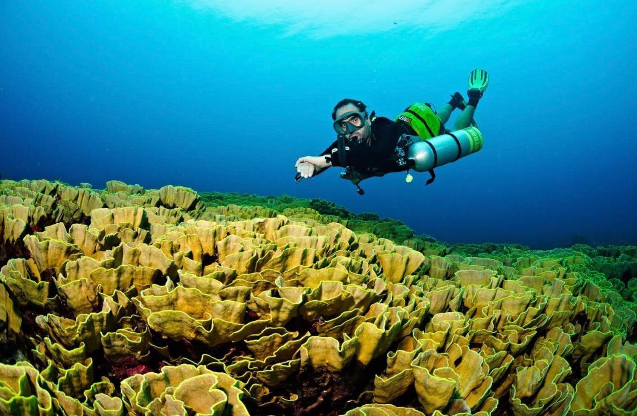 Sanctum Una Una Eco Dive Resort Pulau Unauna 외부 사진