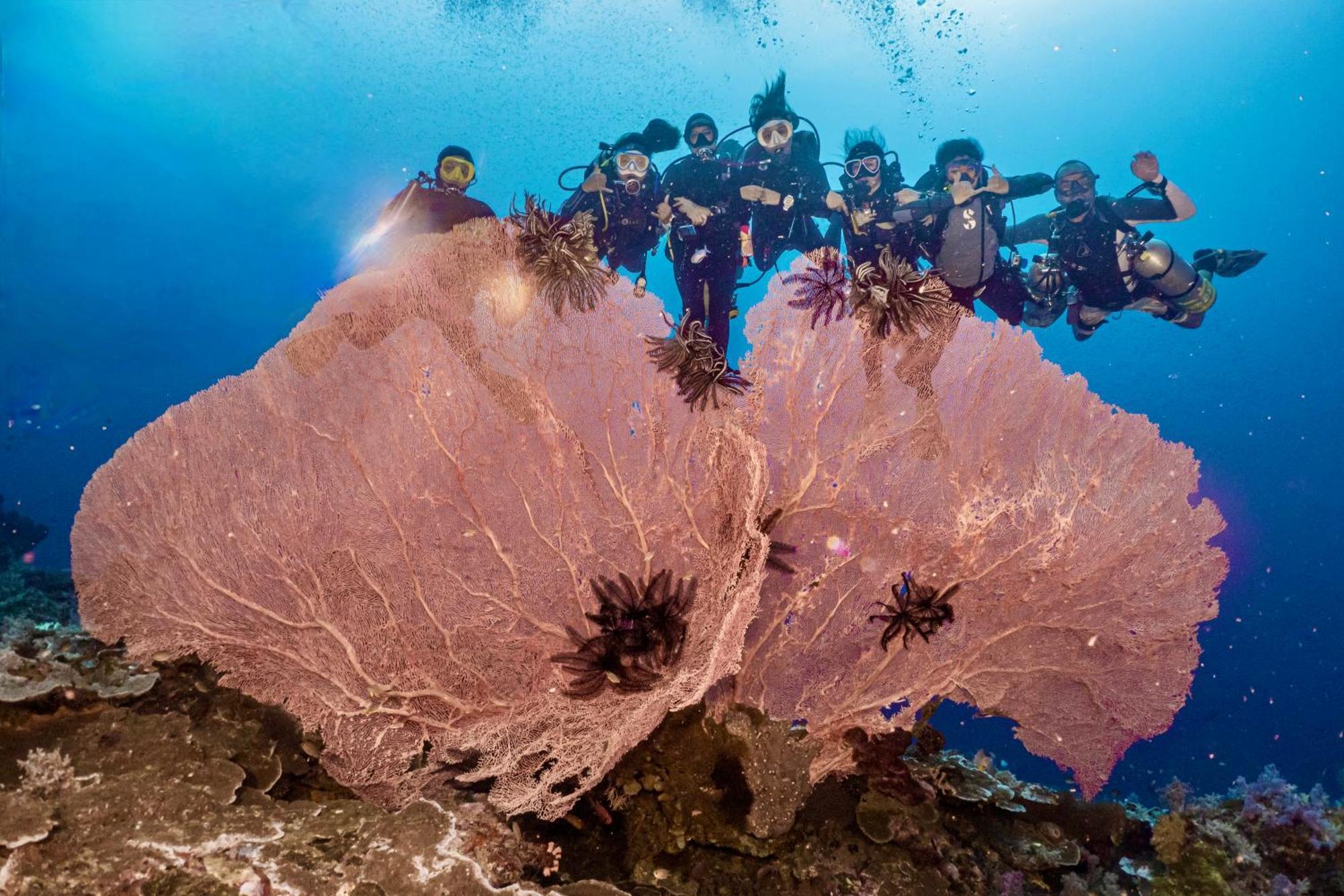 Sanctum Una Una Eco Dive Resort Pulau Unauna 외부 사진